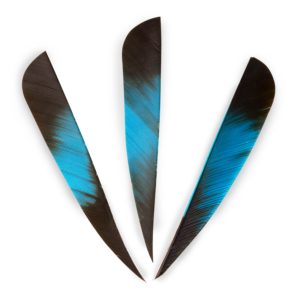 Multicolor Turkey Feathers 4"
